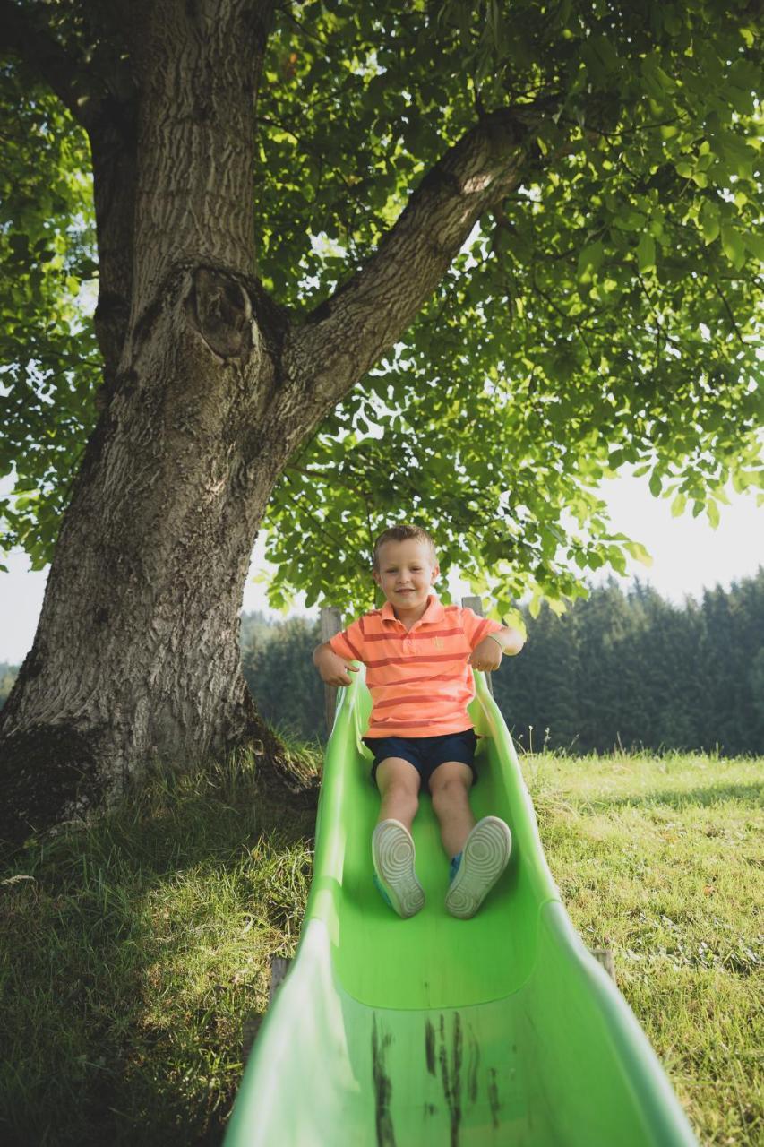 Appartamento Drittlhof Hopfgarten im Brixental Esterno foto